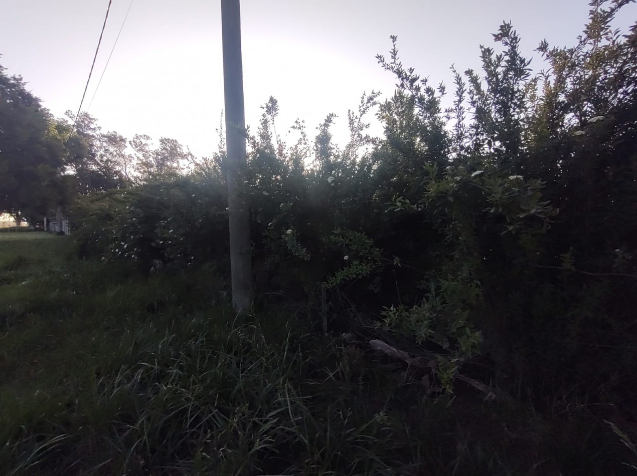 Lotes en Barrio "Los Troncos" 