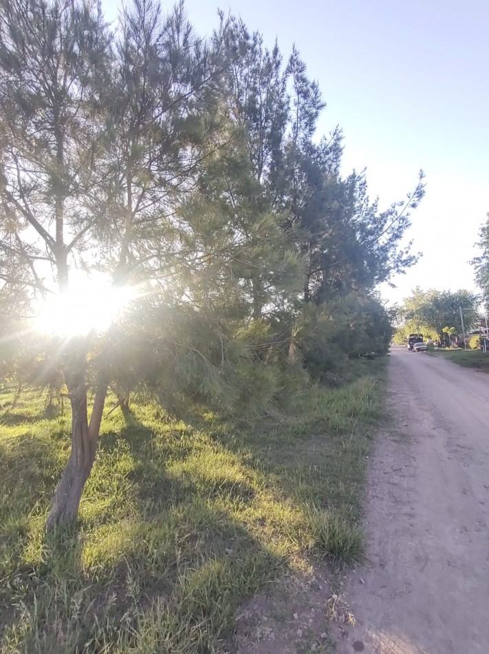 Lotes en Barrio "Los Troncos" 