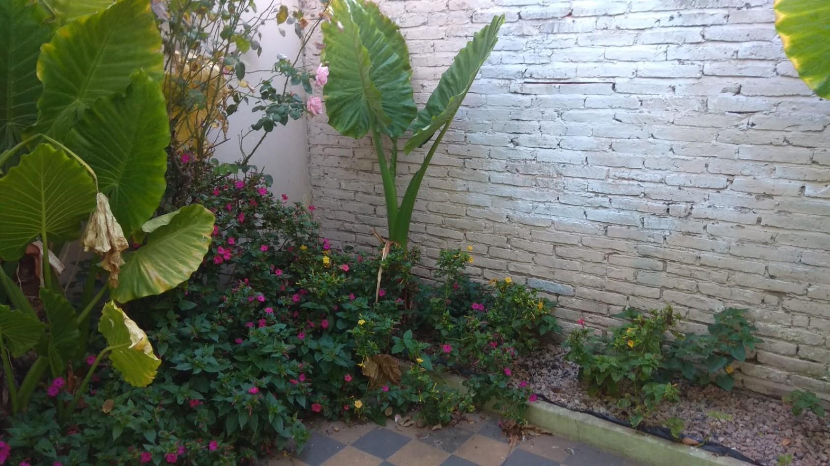 Oportunidad|| En venta casa centrica