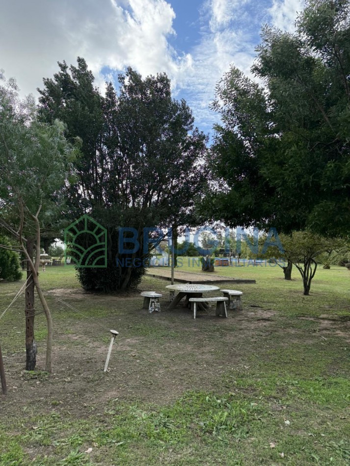 60 HECTAREAS AGRICOLAS 