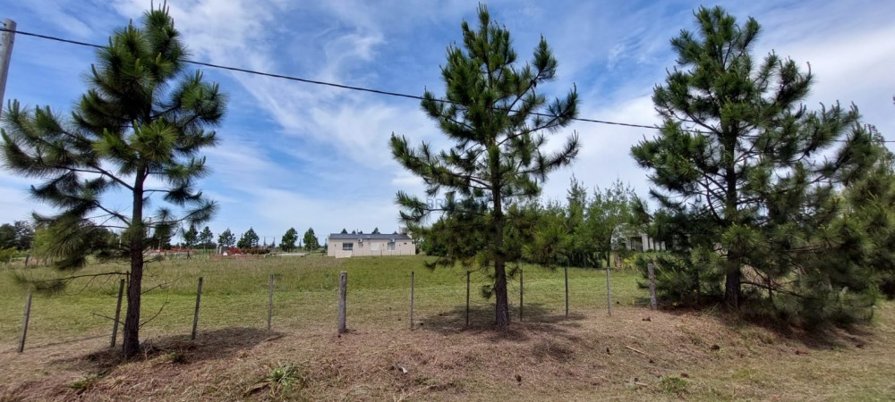 Lote en Barrio "Los Aromos" 