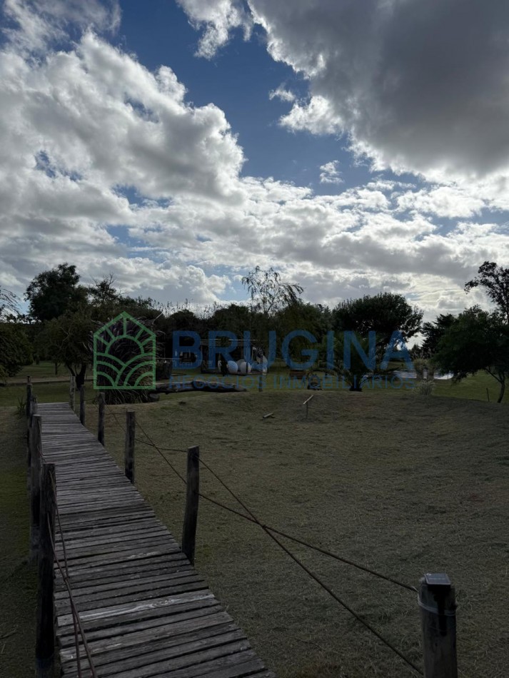 60 HECTAREAS AGRICOLAS 