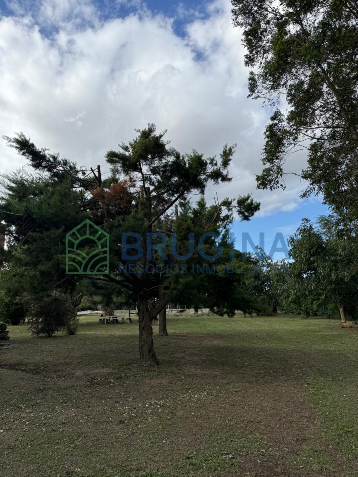 60 HECTAREAS AGRICOLAS 