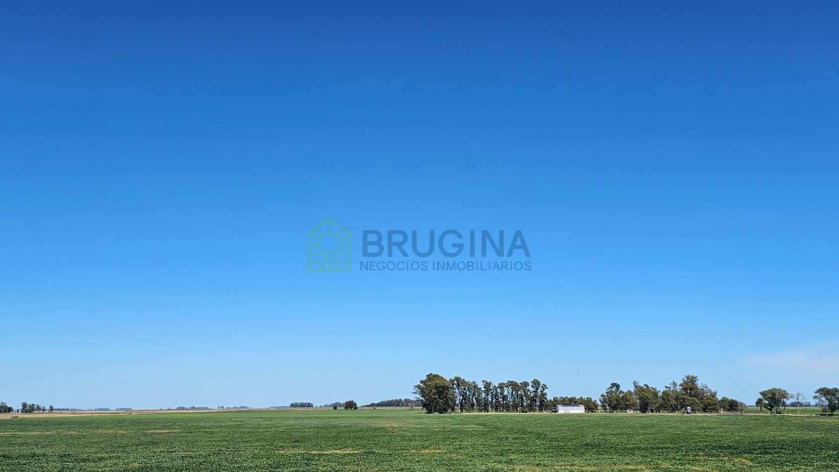 60 HECTAREAS AGRICOLAS 