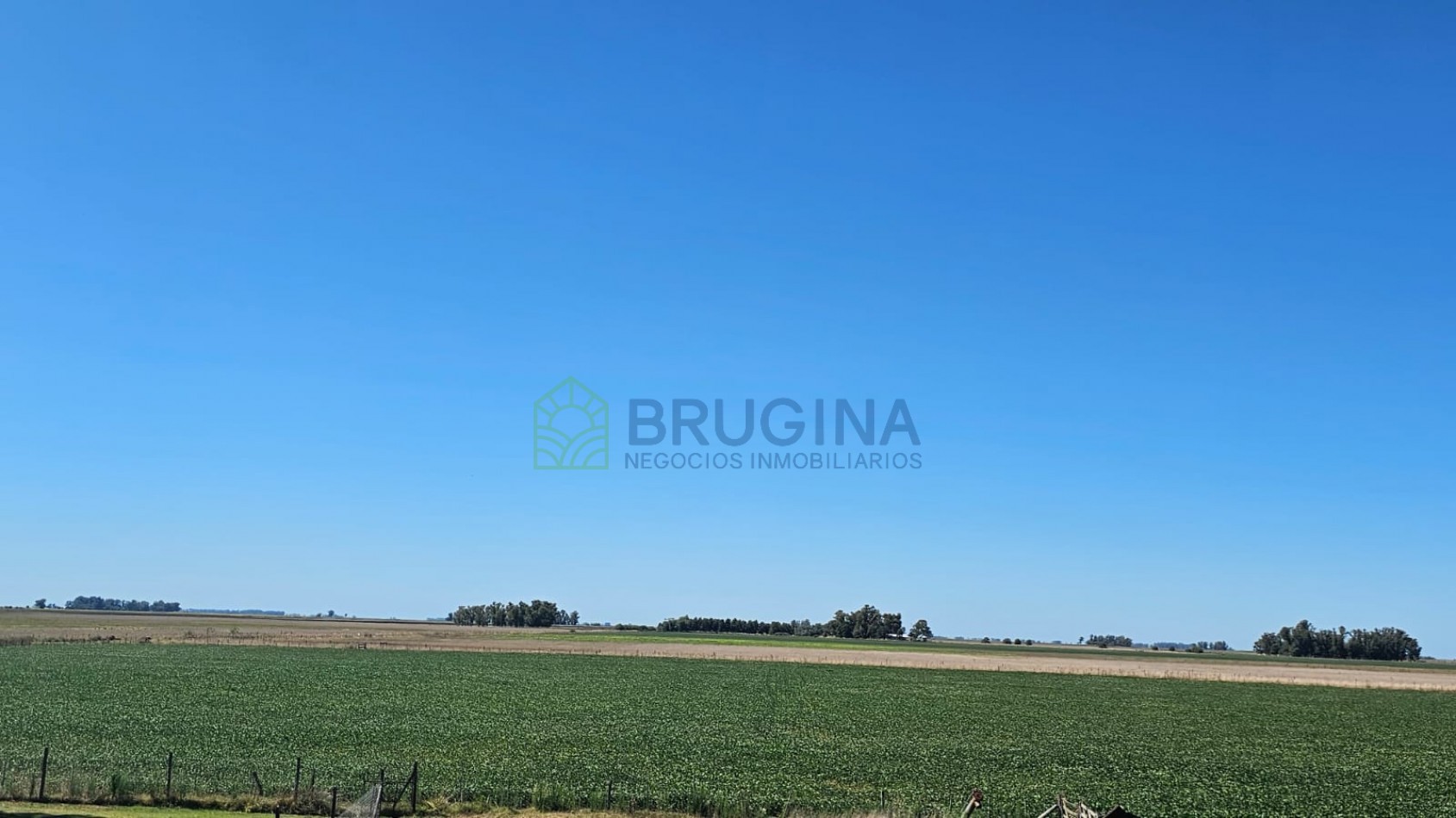 60 HECTAREAS AGRICOLAS 