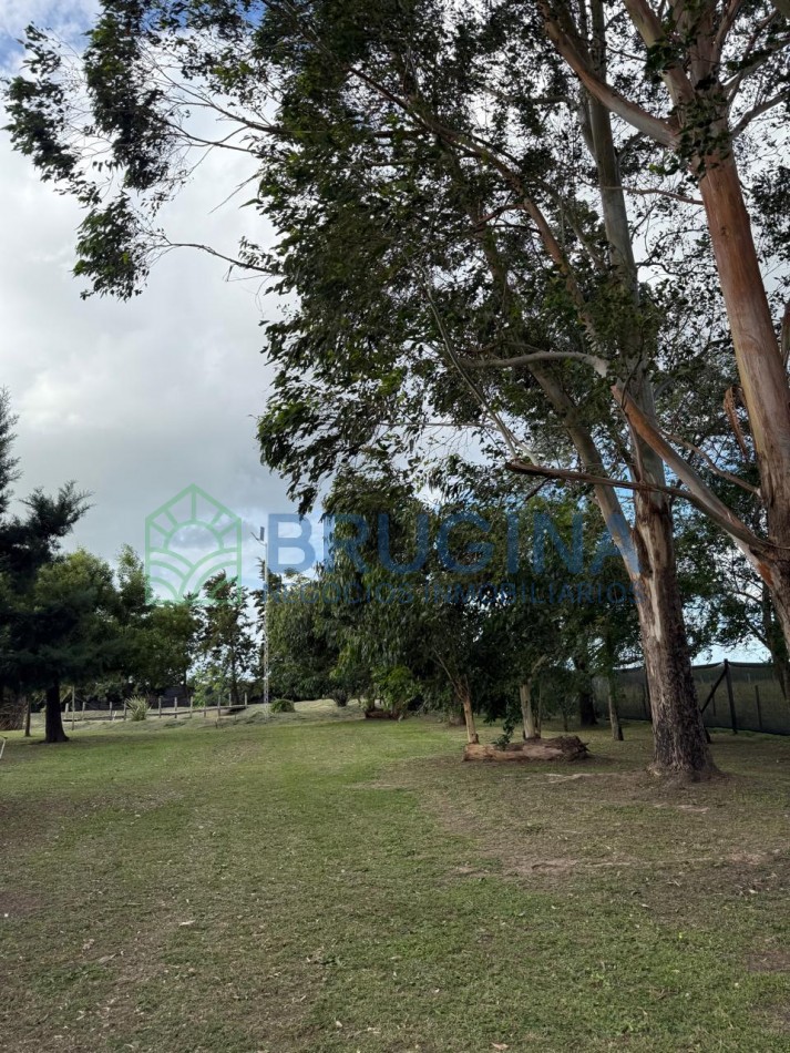 60 HECTAREAS AGRICOLAS 