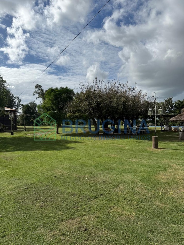 60 HECTAREAS AGRICOLAS 