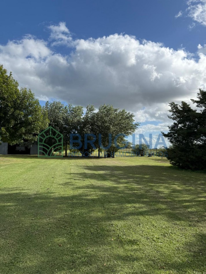 60 HECTAREAS AGRICOLAS 