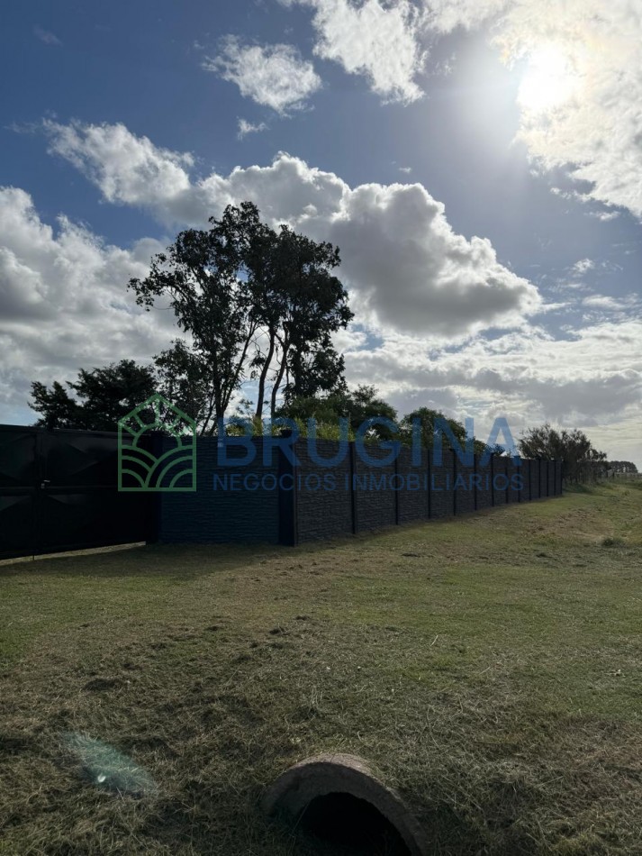 60 HECTAREAS AGRICOLAS 