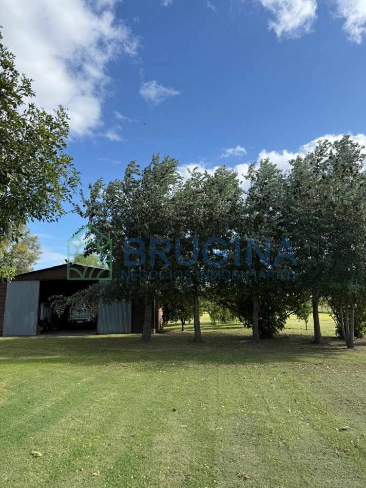 60 HECTAREAS AGRICOLAS 