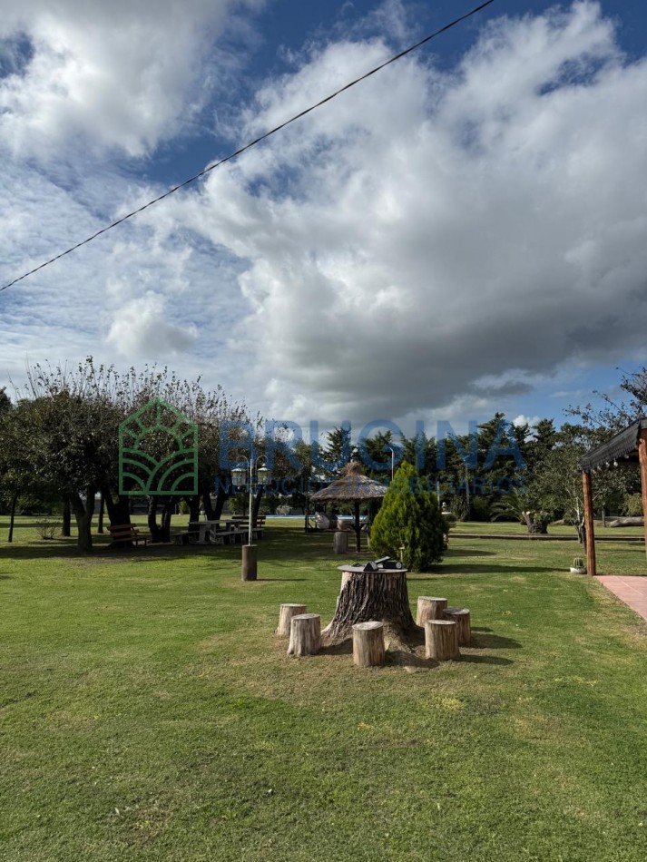 60 HECTAREAS AGRICOLAS 