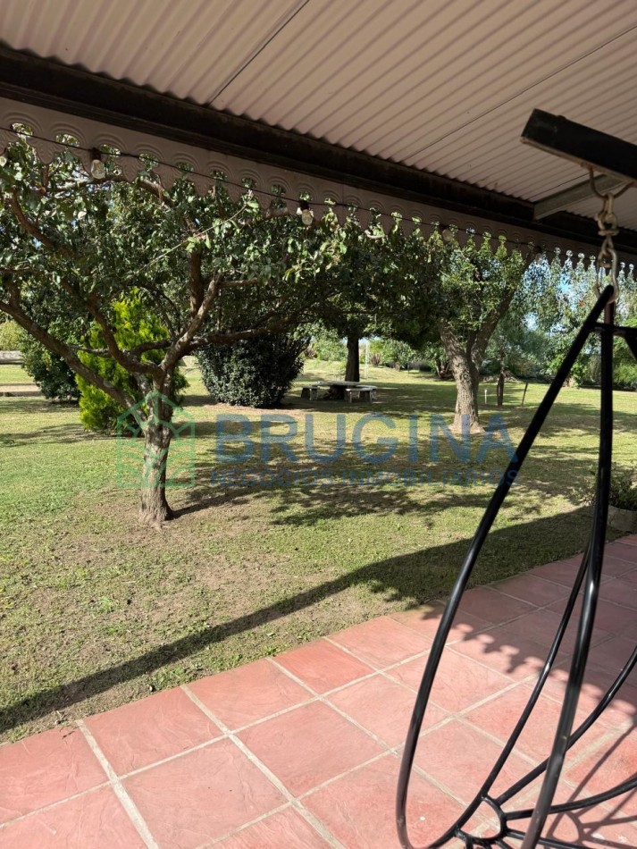 60 HECTAREAS AGRICOLAS 