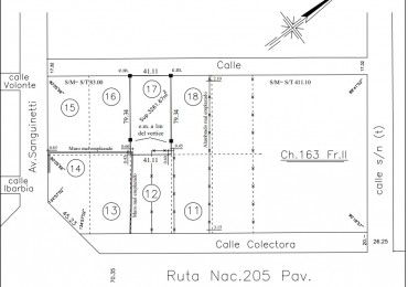 Lote a 200 metros de la ruta 205 ( Volente y Sanguinetti) 